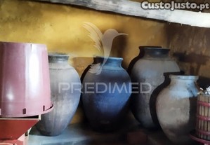imagem_28