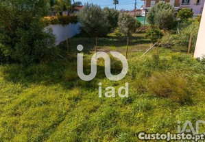 imagem_17