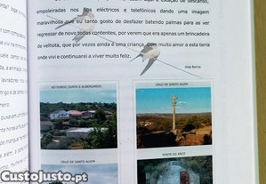 imagem_6