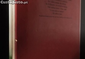 imagem_14