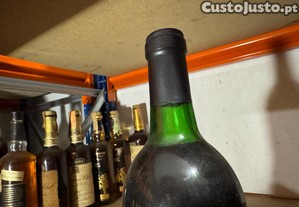 imagem_5