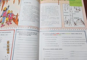 imagem_5