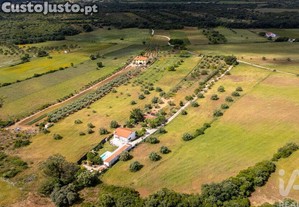 imagem_14
