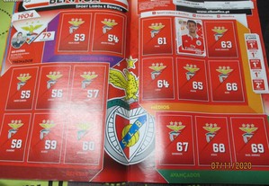 imagem_4