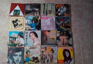 imagem_3