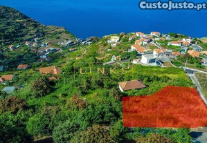 imagem_11