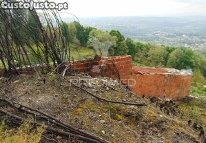 imagem_21
