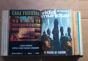 imagem_5