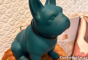 imagem_1
