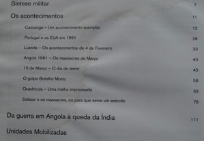 imagem_8