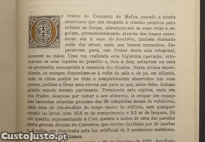 imagem_6