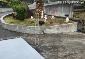 imagem_37