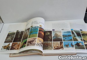 imagem_8