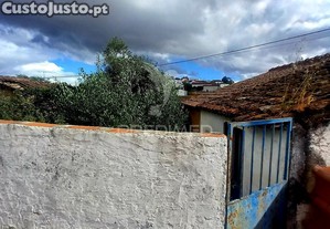 imagem_13