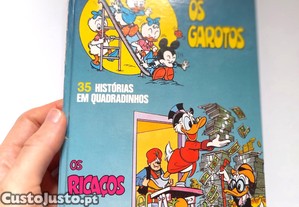 imagem_3