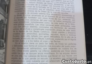 imagem_7