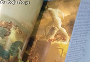 imagem_7