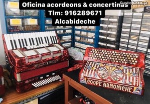 imagem_5