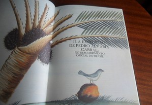 imagem_5