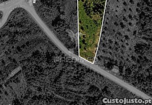 Terreno rústico com 1.320 m² vale matoleu, sertã
