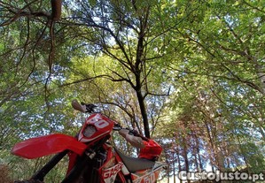 GasGas EC 300 - 2010 |Reviso geral Set/25