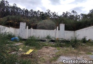 imagem_10