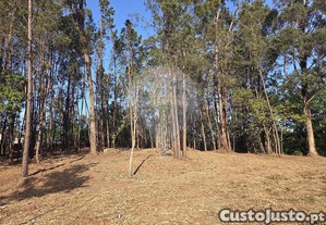 imagem_13