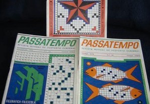 imagem_2