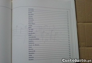 imagem_5