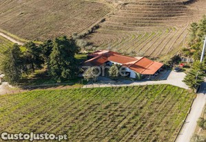 Quinta Com 14 Hectares Em Pleno Douro Vinhateiro