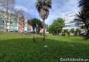 imagem_30