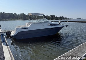 Barco bayliner 9 metros