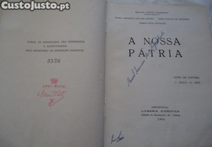 imagem_5