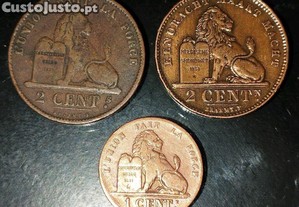 imagem_2