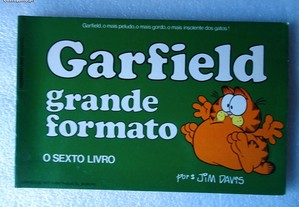 Livro - Garfield - Grande formato
