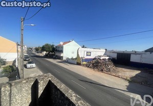 imagem_13
