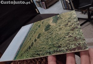 imagem_6