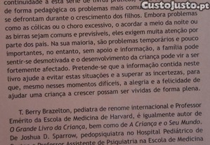 imagem_8