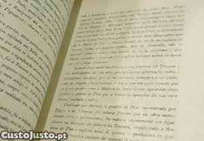imagem_7