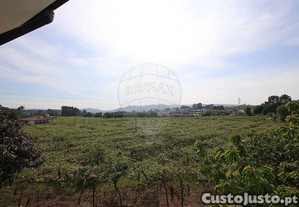 imagem_22