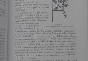 imagem_7