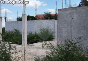 imagem_15