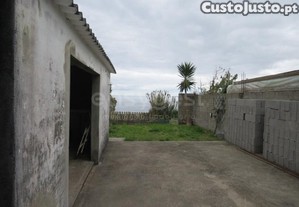 imagem_22