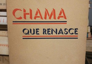 Chama que Renasce - A. Luiz Vaz 1943 - 1ª edição