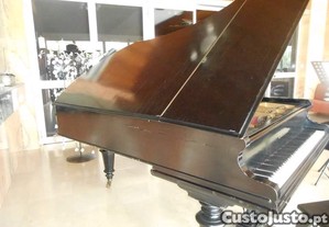 imagem_5