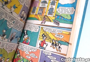 imagem_5