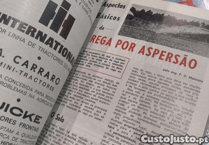 imagem_8