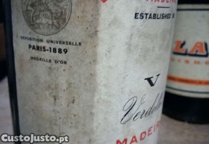 imagem_5