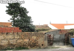 imagem_20