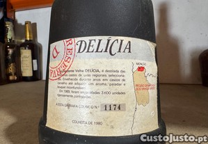 imagem_7